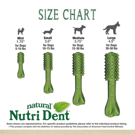 Nylabone Nutri Dent Dog Dental Chews - Natural Dog Teeth Cleaning & Breath Freshener - Dental Treats for Dogs - Fresh Breath Flavor, Medium (20 Count)