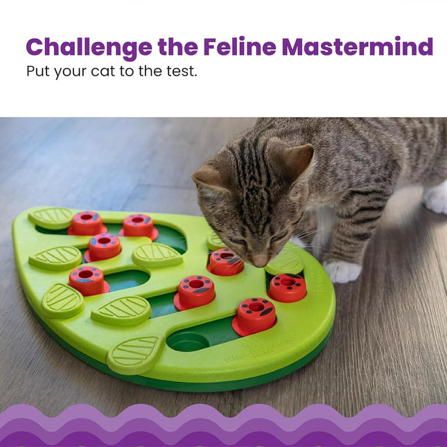 Petstages Nina Ottosson by Buggin' Out Puzzle & Play - Interactive Cat Treat Puzzle