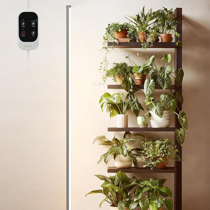 GLOWRIUM Standing Grow Light with Auto-Timer, 36W 
