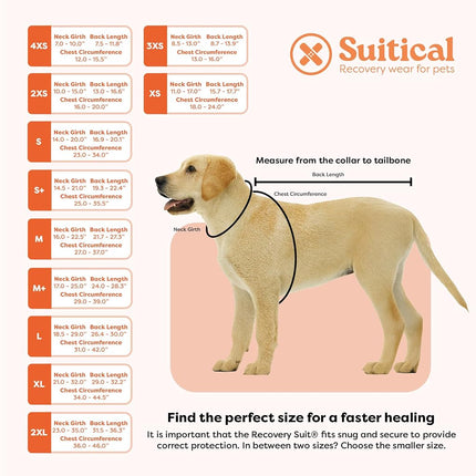 Suitical Recovery Suit Dog, Small Plus, Pink Camouflage