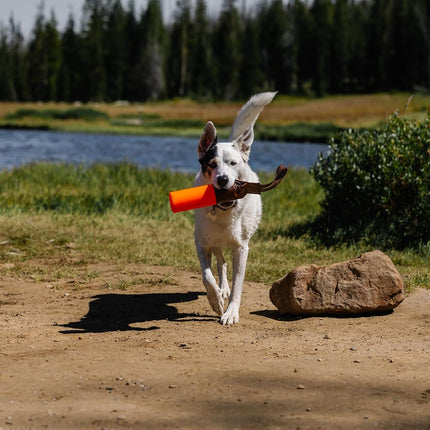 Carhartt Training Dog Retrieving Bumper, Hunter Orange, Large