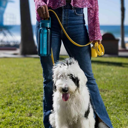LifeStraw Go Series BPA-Free Water Bottle with Water Filter 1 Litre for Travel and Daily Use Removes Bacteria, Parasites, Microplastics and Improves Taste, Polar White (White)
