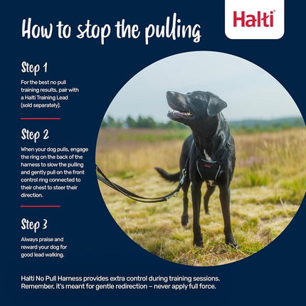 Halti Dog Training Harness, Black