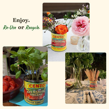 Cento Certified San Marzano Whole Peeled Plum Tomatoes, 28 Ounce , Pack of 6
