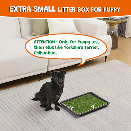 MEEXPAWS Dog Grass Pee Pads for Dogs with Tray | Small 44×34 cm | 2× Dog Artificial Grass Pads | 2 Training Pads | Indoor Dog Litter Box (Under 3kg Dog)