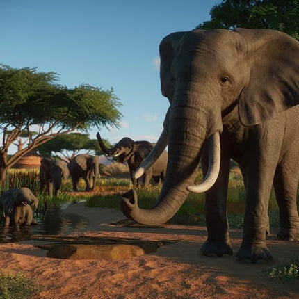 Planet Zoo: Console Edition (Xbox Series X)