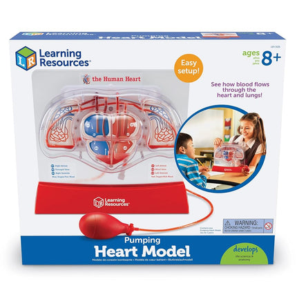 Learning Resources Pumping Heart Model, 12inx11inx5in