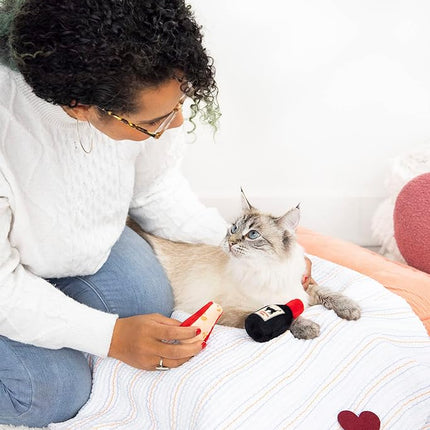 Set de 2 juguetes de queso y vino para gatos Pearhead – Juguetes de peluche con hierba gatera, arrugas y cascabel, juguetes interactivos para gatos de interior para el Día de San Valentín