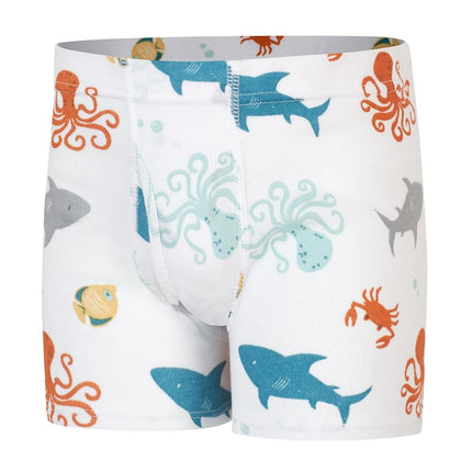 Hanes Toddler Boys' Organic Cotton Underwear, Pure Comfort 100% Cotton Boxer Briefs Available, 10 & 7 Pack, Tan, White, Seafoam, 4-5T