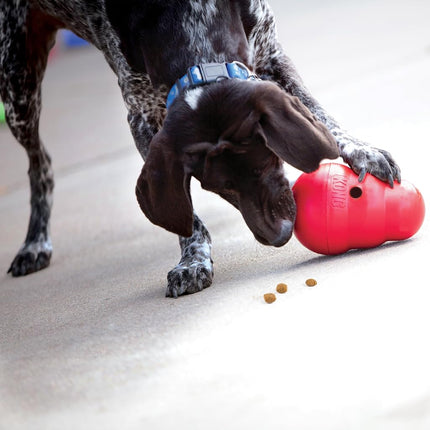 KONG Wobbler Interactive Food Dispensing Dog Toy, Small Dogs