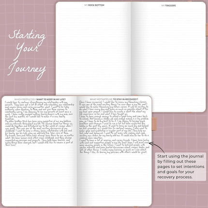 Clever Fox Addiction Recovery Journal, Daily Sobriety Planner A4 Rose Gold