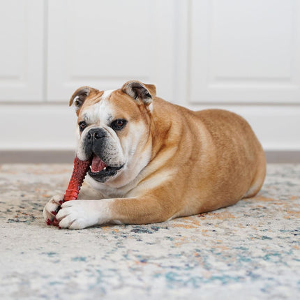 Nylabone Extreme Tough Dog Chew Toy Bone, Durable, Cleans Teeth, Beef Jerky Flavour, X-Large, for Dogs Over 23 kg