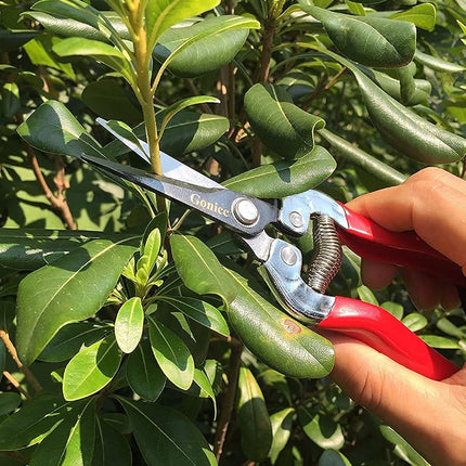 Gonicc Professional Micro-Tip Pruning Snip (GPPS-1008), Small Garden Hand Pruner & shears For Arranging Flowers, Trimming Plants & Hydroponic Herbs, And Harvesting Fruits & Vegetables.