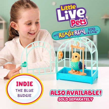 Little Live Pets My Really Real Talking Bird Toy & Cage - Rosie