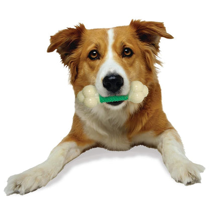 Nylabone Extreme Tough Double Action Dog Chew Toy Bone, Cleans Teeth, Bacon Flavour, Medium, for Dogs Up to 16 kg