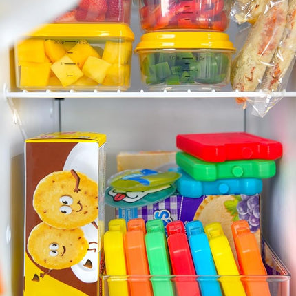 Fit & Fresh Cool Coolers, 5 Pack Days of The Week Ice Blocks, Compact Reusable Ice Packs for Lunch Boxes & Coolers, Multi Colored
