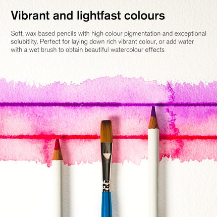 Winsor & Newton Studio Collection Water Colour Pencils - Set of 12, Assorted, 884955065013