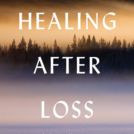 Healing After Loss: : Daily Meditations for Workin