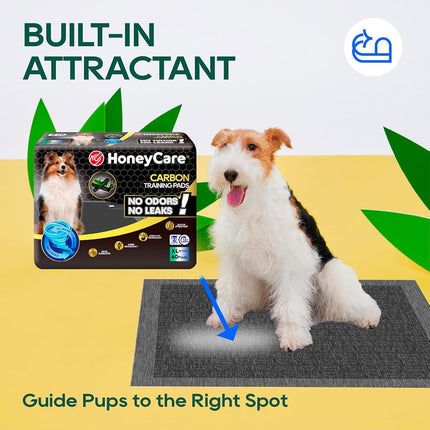 HONEY CARE All-Absorb Puppy Training Pads | Dog Potty Pads Absorb Eliminating Urine Odor, Jumbo-Size Charcoal Puppy Pee Pad (Carbon, XL 28x34 inch, 40ct)