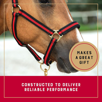 Weaver Leather 35-6065-RD Padded Breakaway Adjustable Chin & Throat Snap Halter, 1" Average Horse or Yearling Draft, Red Striped