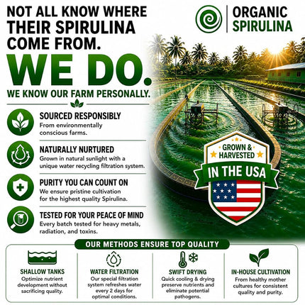 Spirulina Powder Capsules 3000 mg - Purest Non-Irradiated Blue Green Algae - Best Raw Vegan Protein - Green Superfood - Natural Multivitamins – 180 Pills Made in the USA
