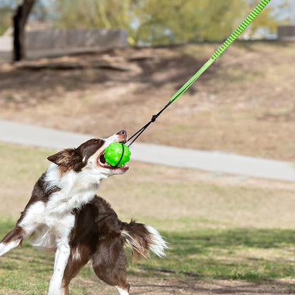 Jolly Pets Tree Tugger,Green