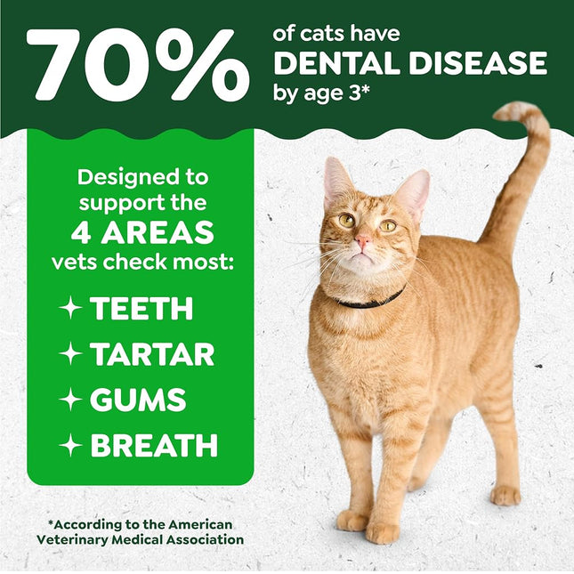 Feline GREENIES Natural Dental Care Cat Treats Oven Roasted Chicken Flavor, 21 oz. Tub