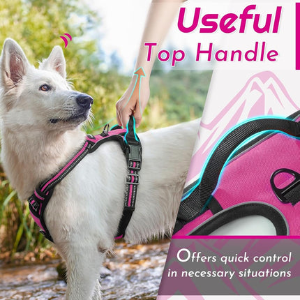 Eagloo Dog Harness Medium, No Pull Adjustable Vest with 2 Lead Clips