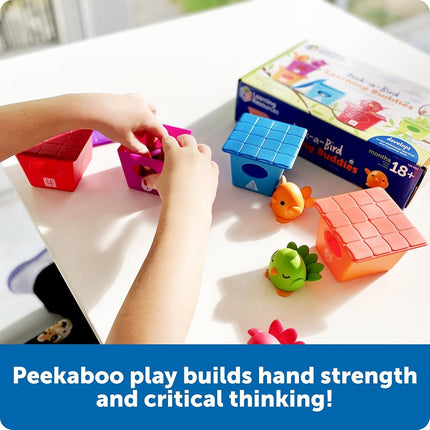 Learning Resources Peek-a-Bird Learning Buddies, Ages 18 Months+, Toddler Toy Set for Counting, Colour, Matching, Fine Motor and Social Skills, 15 Pieces