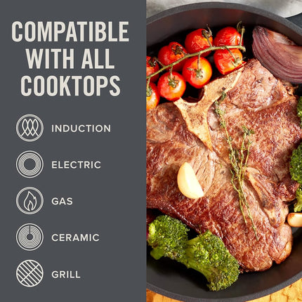 Zakarian by Dash 11" Nonstick Cast Iron Grilling & Roasting Pan for Vegetables, Meats, Seafood & More - Grey