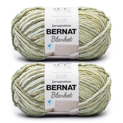 Bernat Blanket - 2 Pack of 220 Yards/10.5 oz Grass