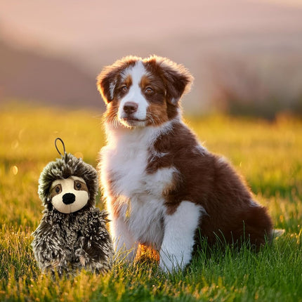 Sloth Dog Toy with Squeaker | Medium Toy Small Dogs | Plush Dog Toy | Multicolor | 6" | Officially Licensed