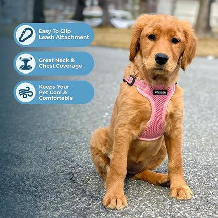 Best Pet Supplies Voyager Adjustable Dog Harness Leash Set with Reflective Stripes for Walking Heavy-Duty Full Body No Pull Vest with Leash D-Ring, Breathable All-Weather - Harness (Pink), L