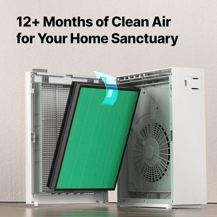 Coway Airmega 150 Air Purifier Replacement Filter Set, Green True HEPA and Active Carbon Filter, AP-1019C-FP
