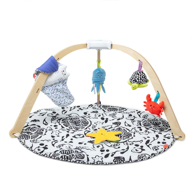 Melissa & Doug Ocean Easy-Fold Play Gym Developmen