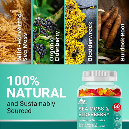 BIO VITALICA Irish Sea Moss Gummies with Elderberry – USA Made Vegan Gummies with Vitamin C, D & Zinc – Immune Support Supplement with Bladderwrack & Burdock Root for Adults & Kids – 2 Packs