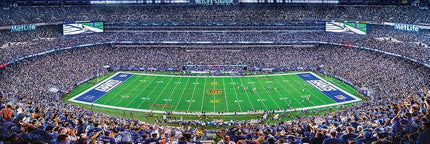 MasterPieces NFL New York Giants Stadium Panoramic Jigsaw Puzzle, Team Color, 1000 Pieces - 13" x 39" (91355)
