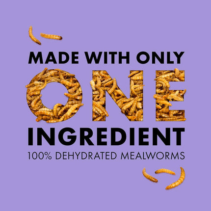 Zilla Reptile Food Munchies Mealworms for Pet Bearded Dragons, Leopard Geckos, Chameleons, Large Tropical Fish & Birds, 3.75-Ounce