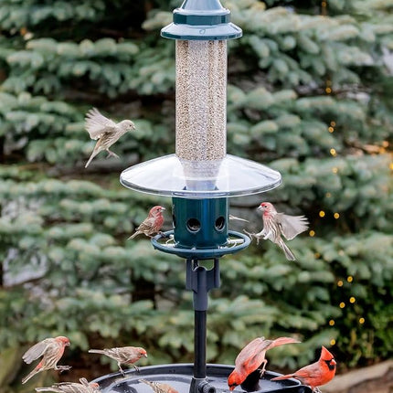 Jacobi Jayne 1024-V01 Feeder Buster Plus-Marauders Off Guaranteed Squirrel and Large Bird Proof/Metal, Green