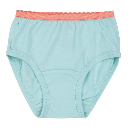 Fruit of the Loom girls12GBRTBToddler Girls' Brief (Pack of 12) Panties - multi - 4-5 Years