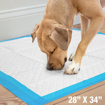 Four Paws Wee-Wee Superior Performance Pee Pads for Dogs - Dog & Puppies, with 6-Layer Leak Proof Technology, for House Training – Extra Large, 71cm x 86cm (28" x 34"), (21 Count)
