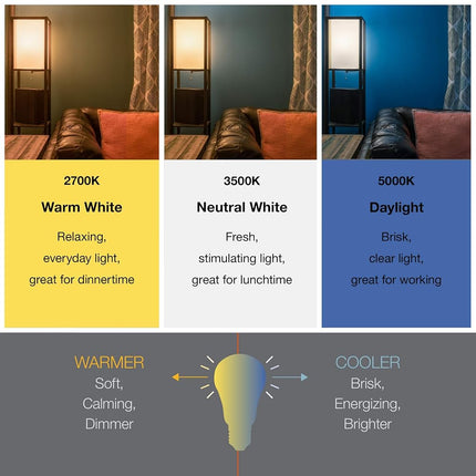 Sylvania BR40 LED Flood Light Bulb, 85W=13W, Dimmable, 900 Lumens, 3000K, Warm White - 2 Pack (40338)