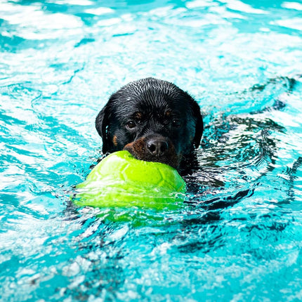 Jolly Pets Large Jolly Soccer Ball Floating-Bouncing Dog Toy; 8" Green Apple