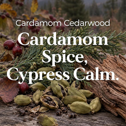 M&SENSE Cardamon & Cypress 2 Cotton Wick Jar Candle, 11.6oz Soy Wax, 70 Hours Burn Time Clean Non Toxic, Autumn Fragrance Candle for Home Decor, Fall Scented for Holiday