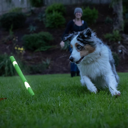 Chuckit! Max Glow Ultra Fetch Stick Outdoor Dog Toy, 12 Inches, for All Breed Sizes