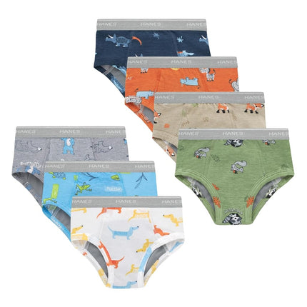 Hanes Trainer Briefs, Light Leaks Potty Training Underwear for Toddler Boys, Multipacks, Days of The Week, Blue, Tan, Green, 2-3T
