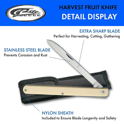 SZCO Supplies 210970 Alabaster Harvest Fruit Folding Knife