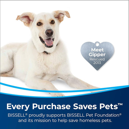 BISSELL Deep Clean + Oxy, 3156A, 48 oz