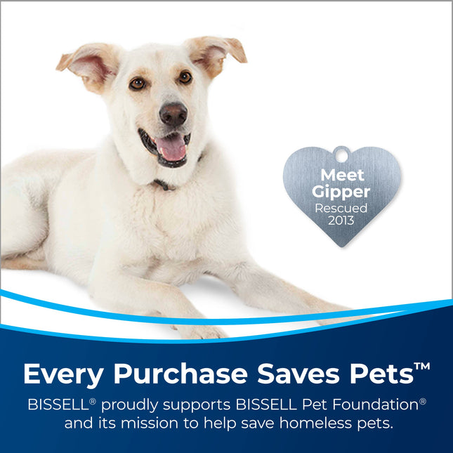 BISSELL Deep Clean + Oxy, 3156A, 48 oz