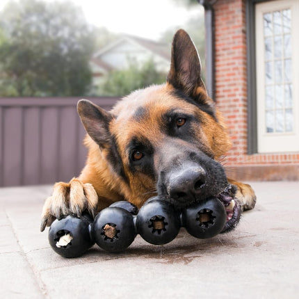 Kong Extreme Goodie Ribbon Dog Toy, Medium